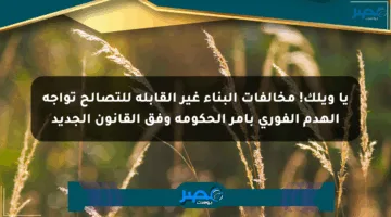 يا ويلك! مخالفات البناء غير القابلة للتصالح تواجه الهدم الفوري بأمر الحكومة وفق القانون الجديد